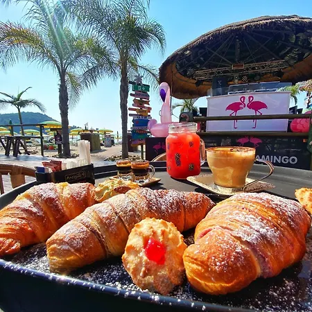 Flamingo Guest house *