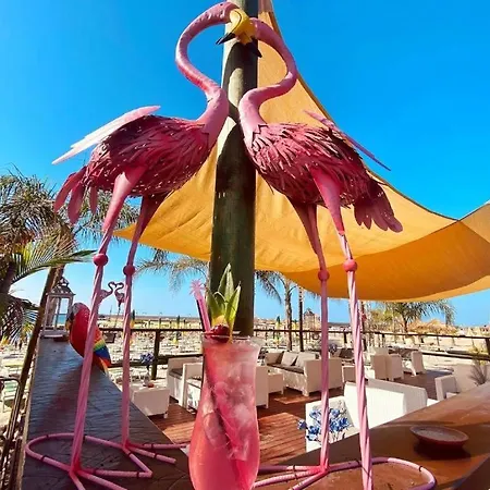 Pensión Flamingo *